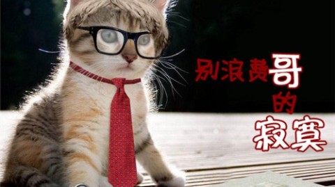 我这嘴笨不会说话，靠AI委托直播代理，一个月闷声搞了3万多